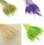 Import natural dried flower color preserved wheat decoration craft flower from China