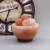 Import Natural Himalayan Salt Lamp Bowl Hand Crafted  Natural Crystal Salt Rock with Dimmer Switch from China