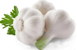 new 2015 New Crop Fresh Chinese Garlic