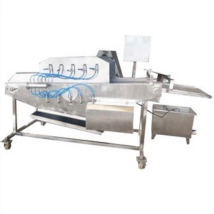 New Arrival Automatic Fish Ball Ice Glazing Machine for Sale