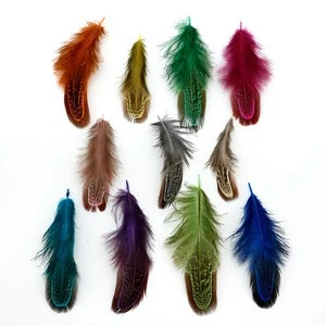 New Arrivals 50 pcs Rare Precious  Multi-colour Pheasant Plume Feather Natural Feathers for Clothing decoration Home Decoration
