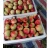 Import new crop fresh nectarine with good price from China