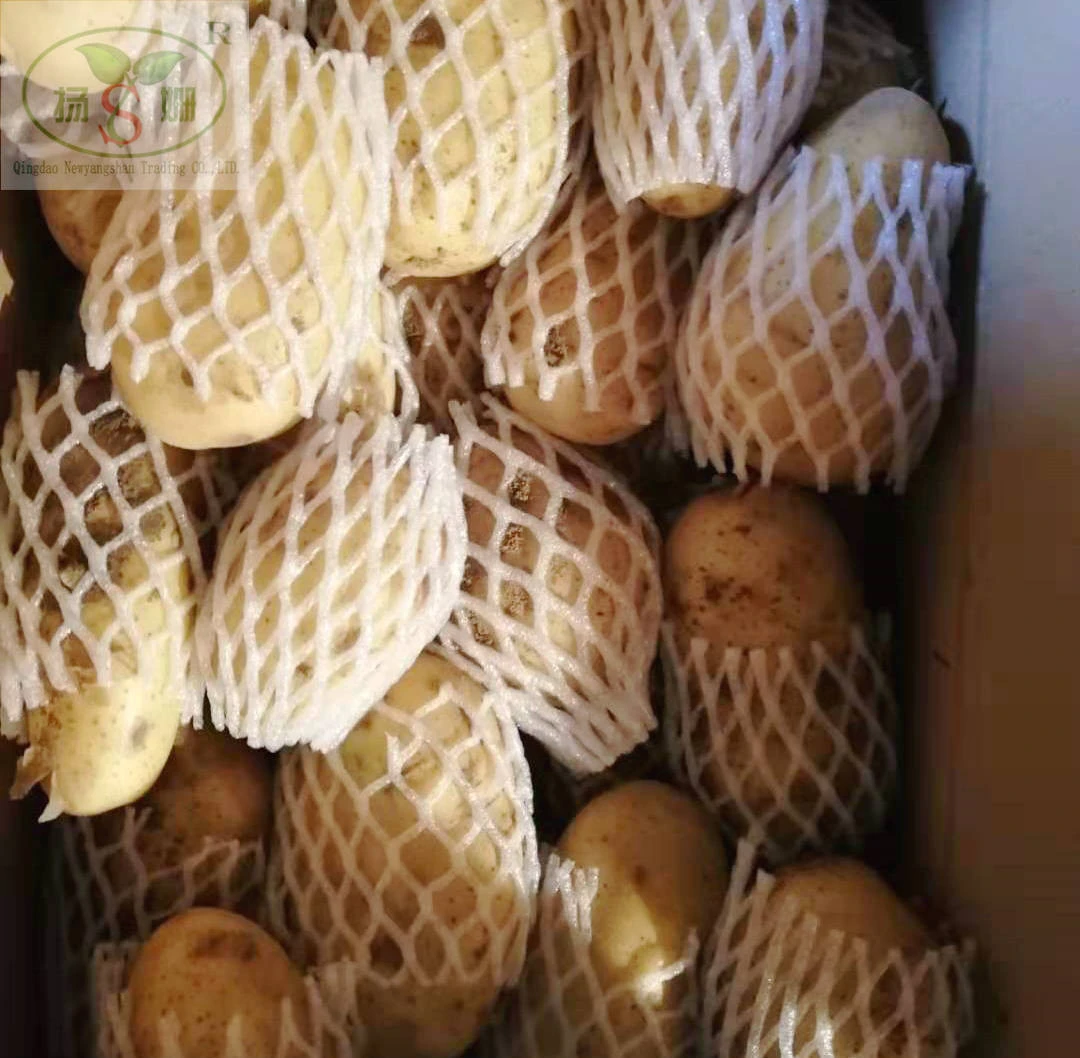 New crop fresh Potatoes/ Potato