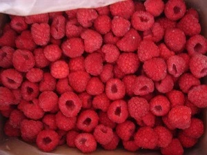 New Crop frozen raspberry