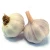 Import new crop garlic vegetable fresh garlic natural garlic fresh fruit vegetable from China