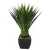 Import New Design Yellow Edge Plastic Plants Flowers Indoor Small Artificial Plant  For Home Ornament from China
