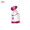 Ningbo supplier face cleansing moisturizing home stand facial steamer ningbo