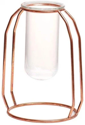 Nordic Golden Wrought Iron Test Tube Glass vase Living Room Flower Arrangement Water Culture Jewelry Transparent Glass Bottle
