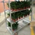 Import Nursery Multiple shelves wrought iron metal flower display racks from China