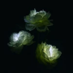 OEM 3 heads solar rose light Outdoor solar flower light solar lawn light for garden decorative