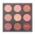 Import OEM ODM Makeup Blushes on Waterproof Blush Makeup from China
