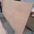 Import Okoume Commercial Plywood For Doors / Furnitures from China