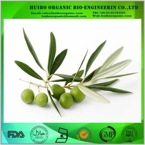 Olive Leaf / Olive Leaf Extract / Olive Leaf powder