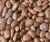 Import Organic Pinto Beans from Philippines