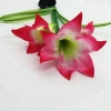 Outdoor lily flower decorative solar stake light for decoration lighting