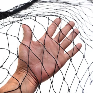 Plastic net used for chicken poultry protection fence netting chicken netting fence