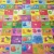 Play Baby Mat Education EPE Foam Playmat