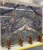 Import Polished Blue Azul Bahia Granite for Wall Decoration from China