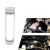 Import Portable Waterproof LED Camping Light Emergency Light With Power Bank from China