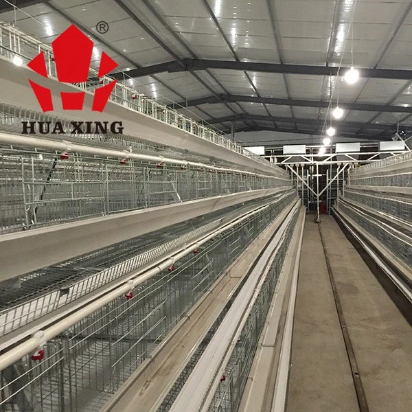 Poultry Breeding Equipment H Type Egg Chicken Layer Battery Cages Laying Hens