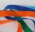 Import PP  webbing high quality webbing strap from China