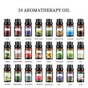 Private Label 24 Kinds Home Essential Oil 100% Natural Tea Tree Rose Wintergreen Clary Sage Essential Oils