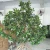 Import Professional artificial tree manufacturer hot-sell fashion artificial style shopping mall decorative artificial mangrove tree from China