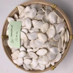 Pumpkin Seed Kernel AAA/AA Grade, Pumpkin Kernel
