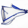 Pvc Equestrian Products, Colorful Horse Running Martingale
