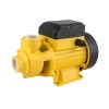 QB60 60hz50hzdc above ground swimming pool magnet diaphragm pump manual cnp water pump sea water pump