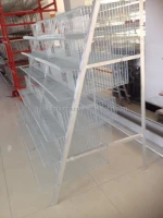 quail farm layer cage of commercial battery cage for chicken pullets production