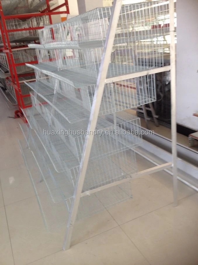 quail farm layer cage of commercial battery cage for chicken pullets production