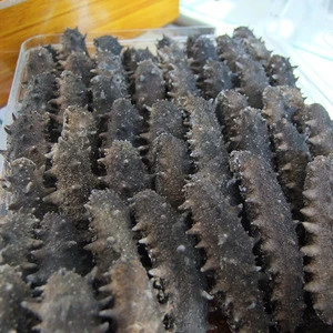 Quality Dried Sea Cucumber for Export