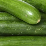 Quality Fresh Cucumber available for Exportation