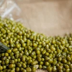 Quality Organic wholesale green mung bean