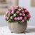 Import Retro Bonsai Simulation Plant Ornaments Artificial Tree Flower from China