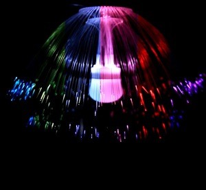 Ropio 2019 NEW PRODUCT  jellyfish led light for holiday decoration fiber optic light