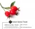 Import Rose Hip Oil | Rose Hip Carrier Oil from Indian Global Trade for Export from India