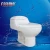 Import Sanitary Ware Bathroom Modern Toilet One Piece from China