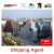 Import sea freight companies freight forwarder fast shipping from China to south africa from China