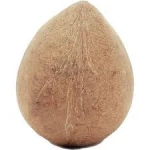 Semi-Husked Coconuts Fresh