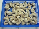 Shrimps