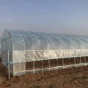 Single-span agriculture film/plastic greenhouse for sale