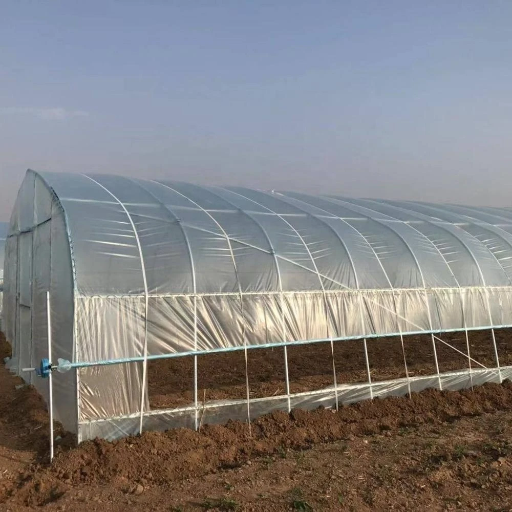 Single-span agriculture film/plastic greenhouse for sale