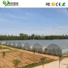 single span poly house agriculture greenhouse