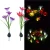 Import Solar Flower Light Foutou LED Lantern Decorative Outdoor Lawn Garden Lamp (4 Heads Lily(Multicolor) from China