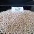Import Sorghum Seeds Manufacturer in India from India