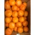 Import South Africa Fresh Citrus Fruit from South Africa