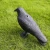 Import Stand Plastic Hunting Crow- Decoy Garden Bird Scarer from China