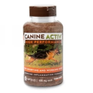 Strenuous activity to soothe stiff joints, promote strength CanineActiv- High Performance 90ct. Pet Joint Health Supplement